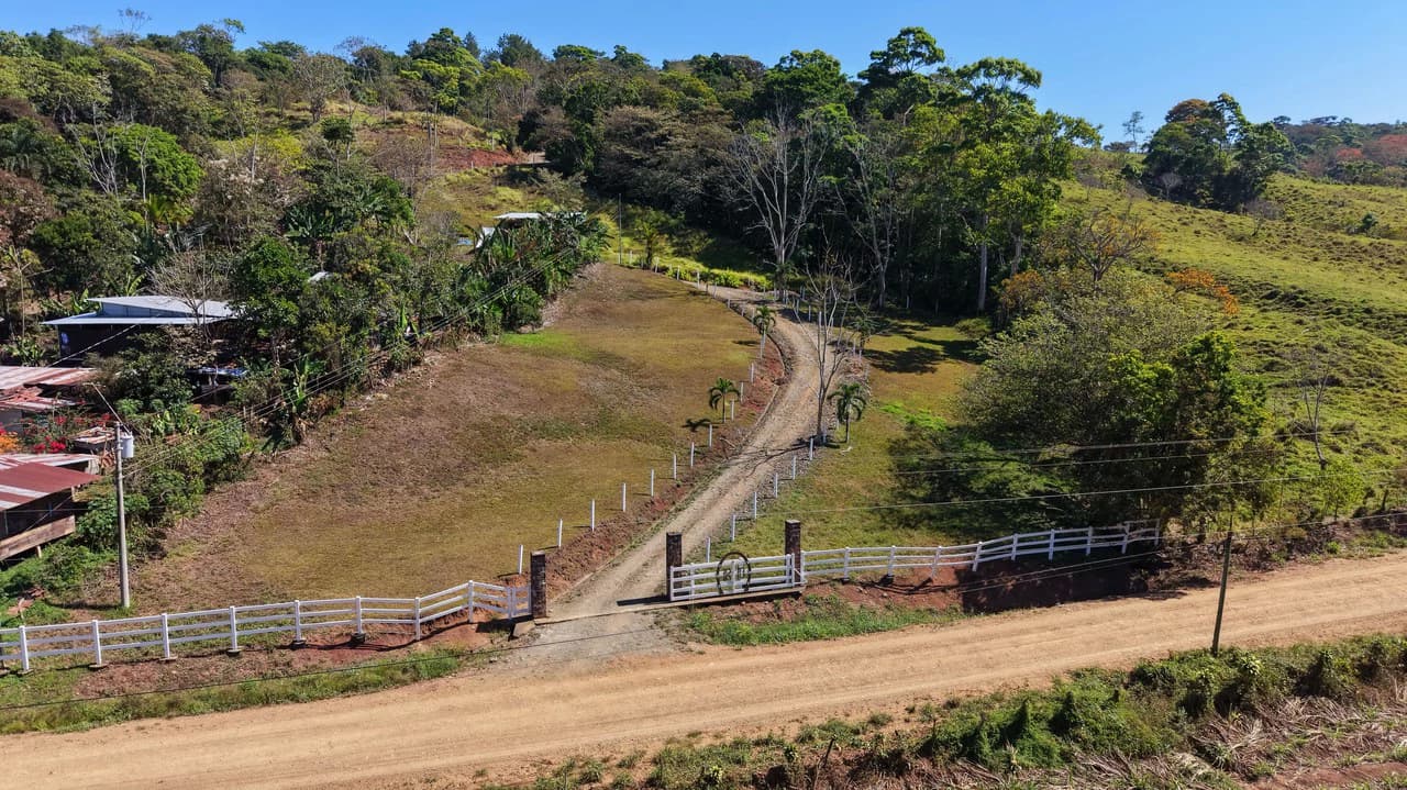 Agricultural Land For Sale in Daniel Flores - photo 2