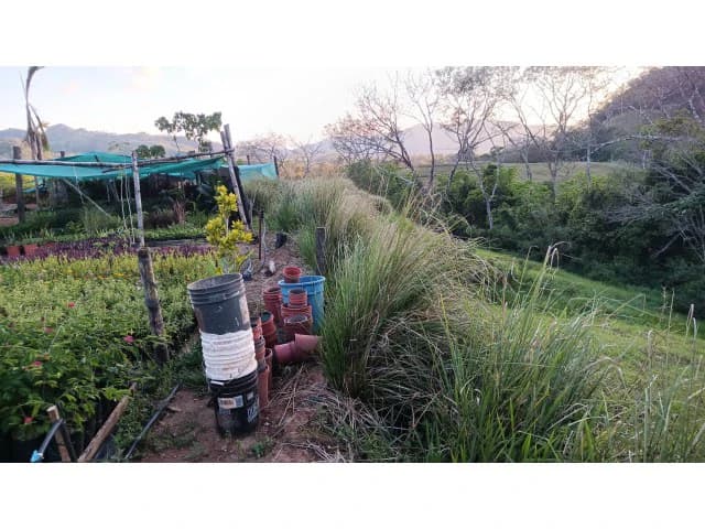 Exclusive lot for sale in Hojancha's green, tropical, rolling mountains, just 3 minutes from town - photo 5