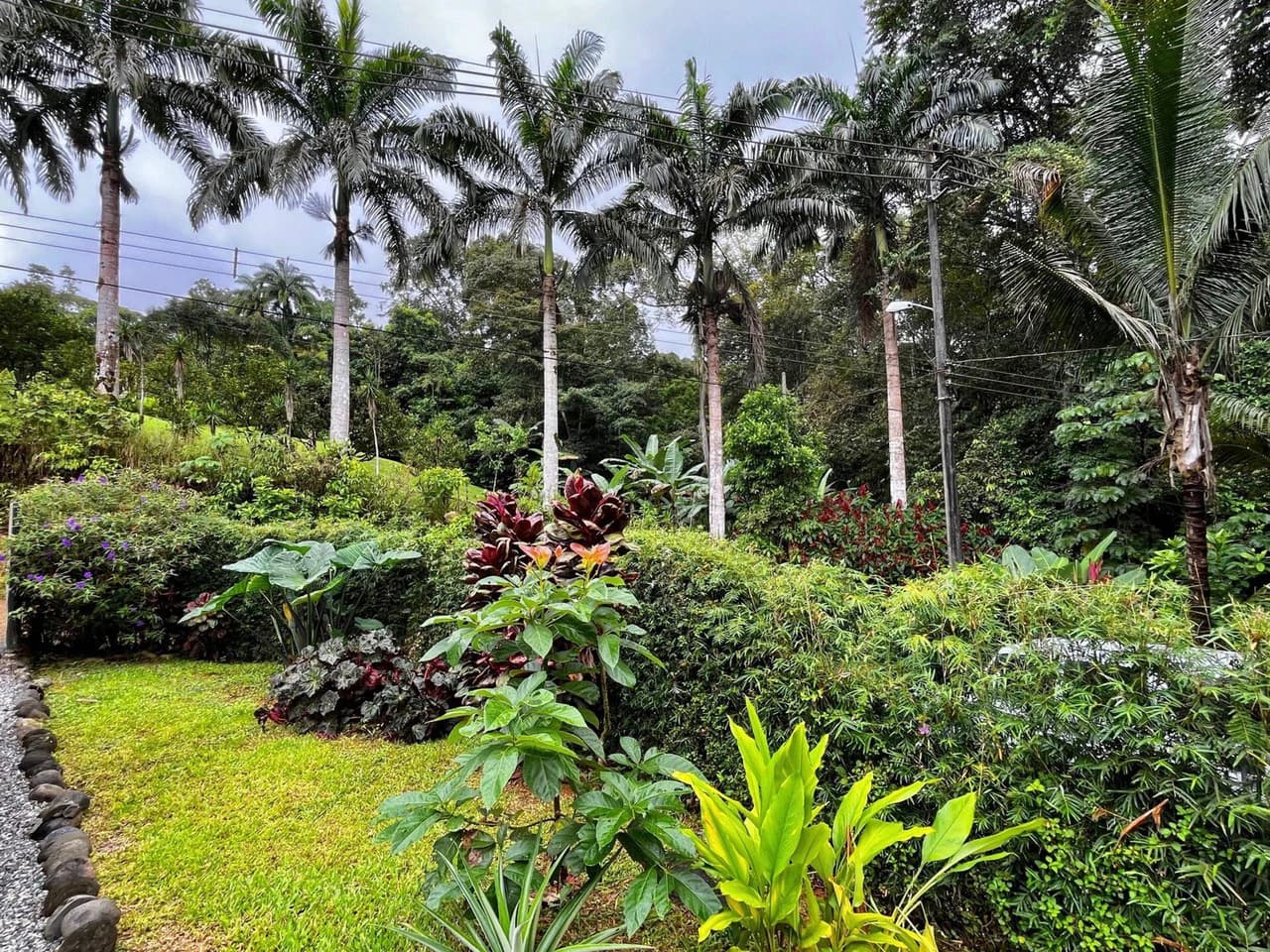 0.19 ACRES – 3 Bedroom Container Homes With Additional Building Lot,15min to Dominical and Beaches!! - photo 20