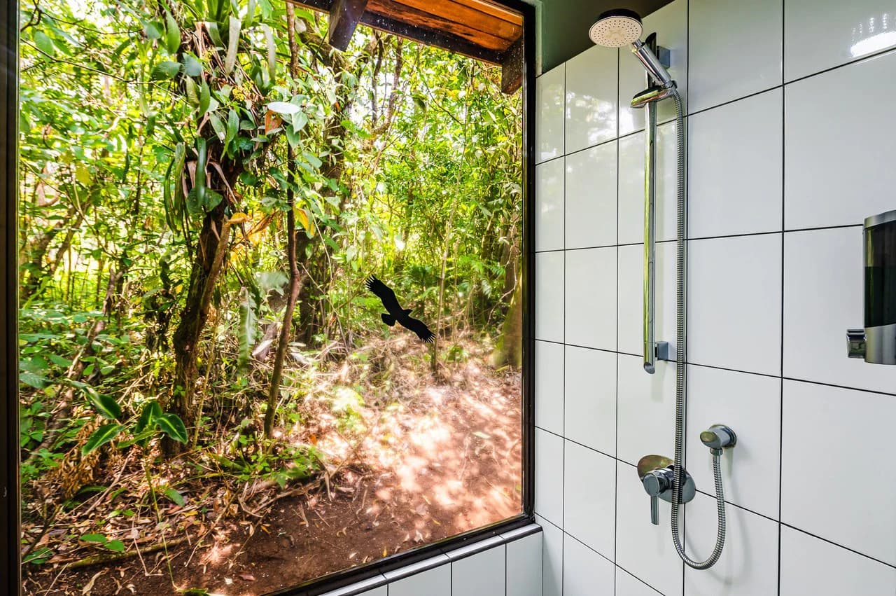 Casitas Tenorio B&B: Turnkey Eco-Lodge in Bijagua: Profitable Business, Sustainable Luxury, and Breathtaking Nature - photo 43