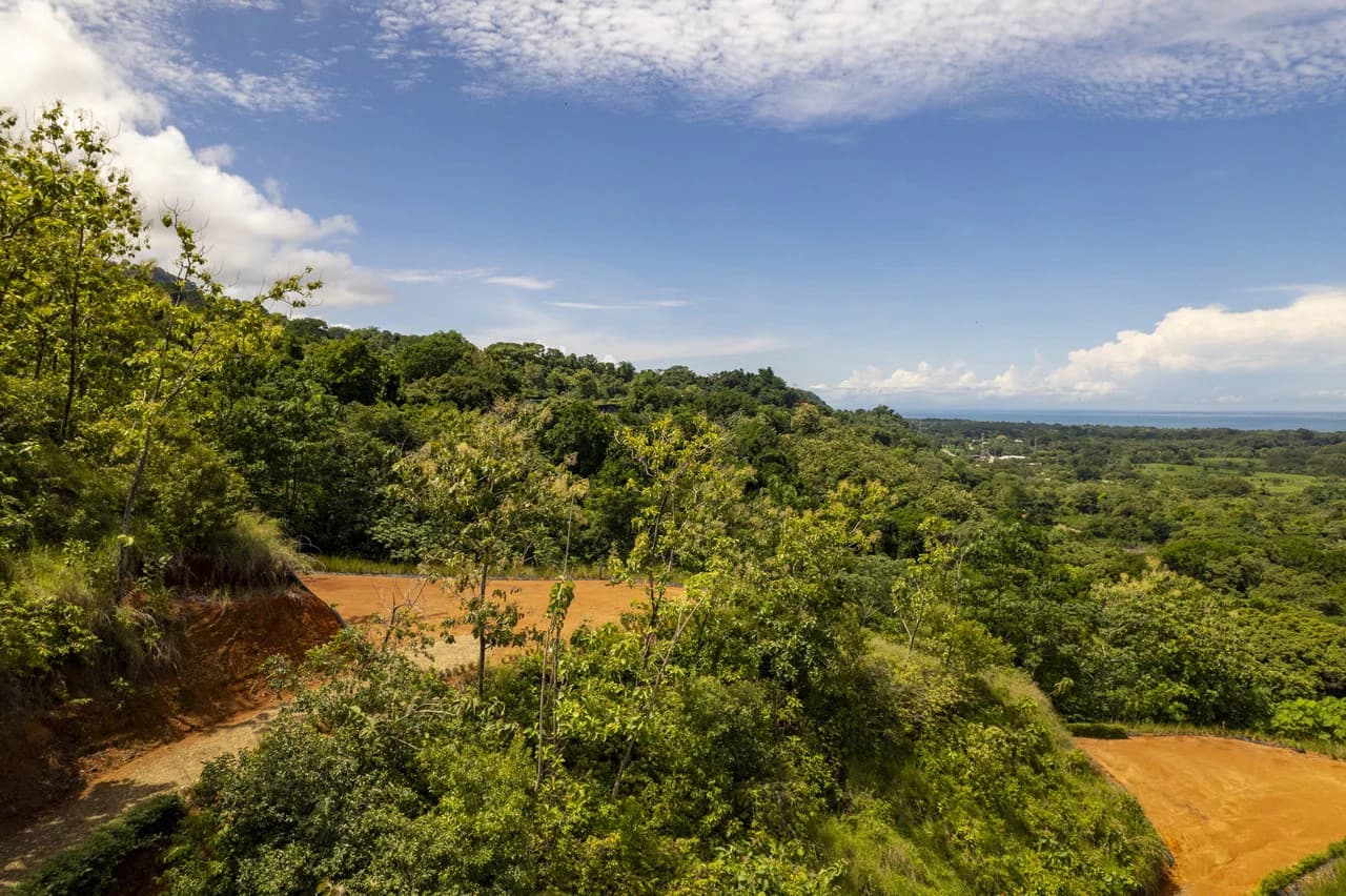 New Gated Development in Matapalo - Ocean View and Flat Land, ready to build! - photo 14