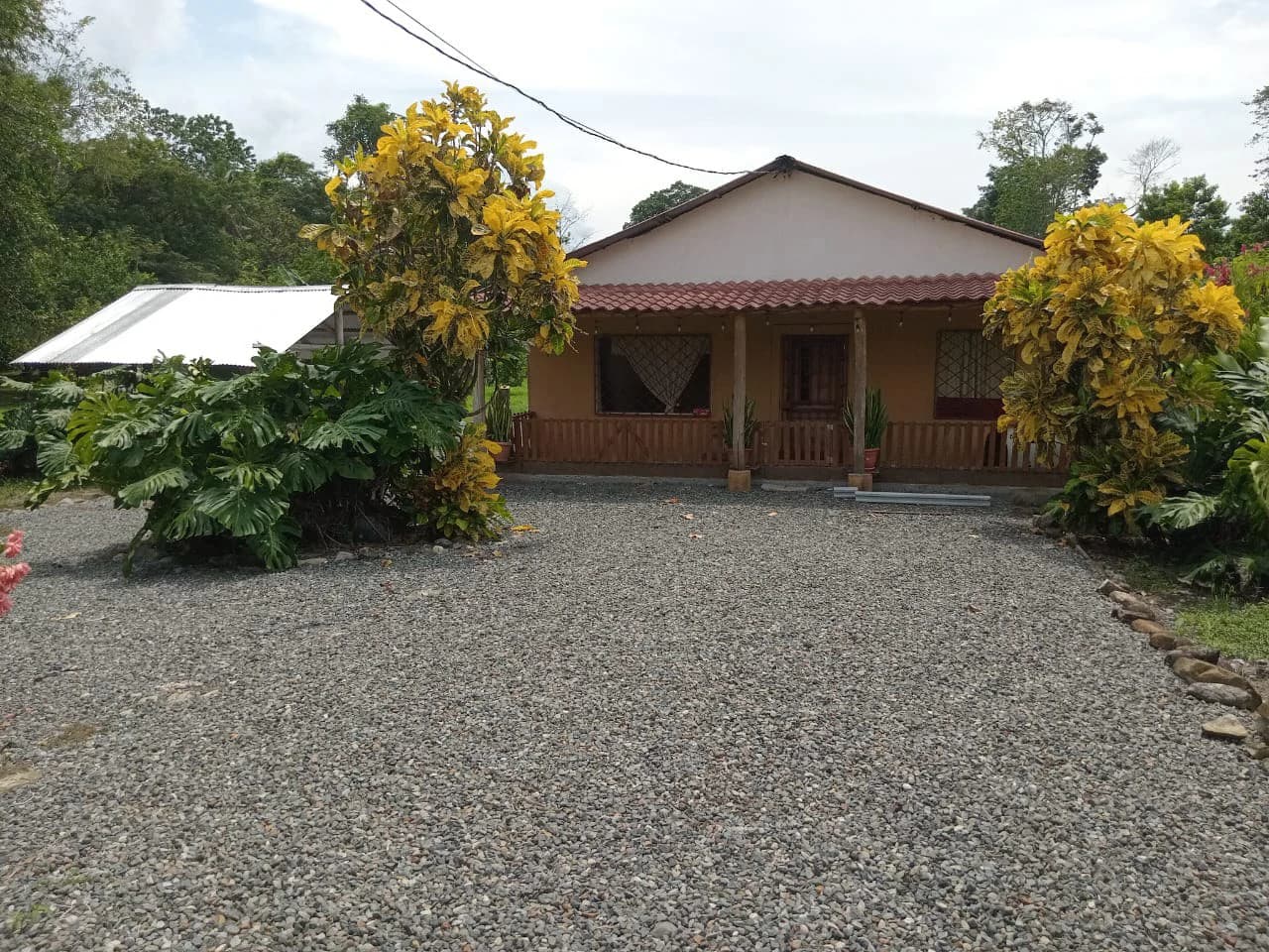 Farm home in Blanco: Ideal retirement farm at the foot of the rainforest - photo 2