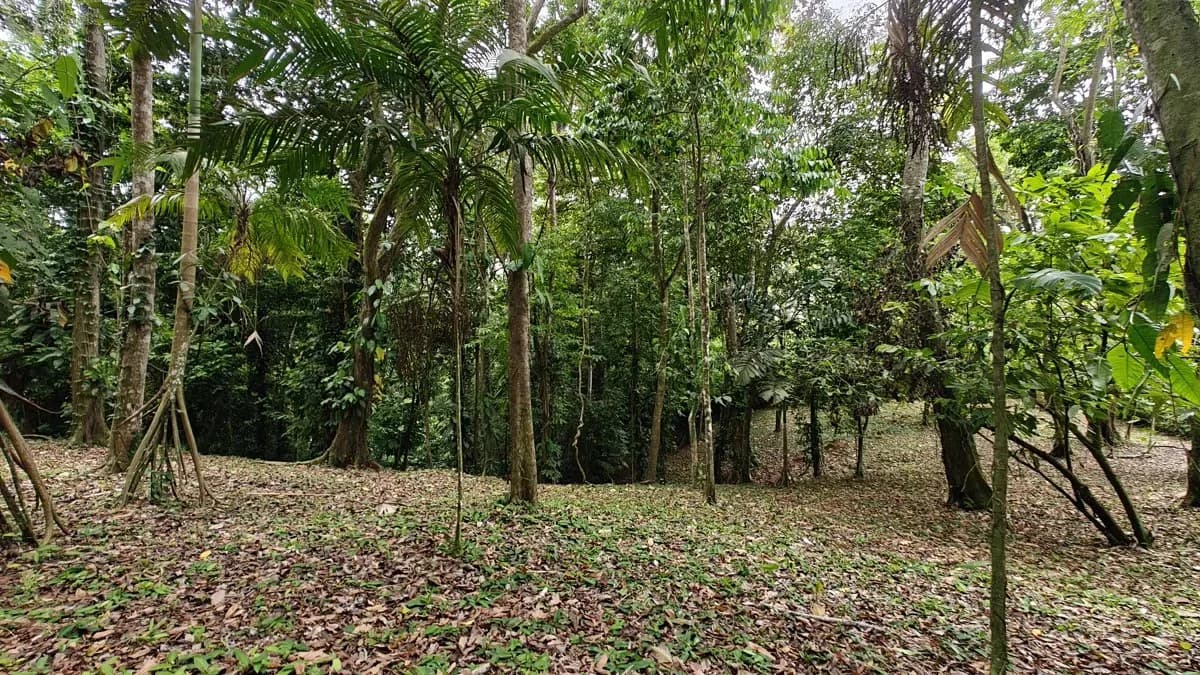 ID 1121: 1,979m² Titled Lot - Last Available Lot in Punta Uva Hills - Near Punta Uva Beach - photo 4