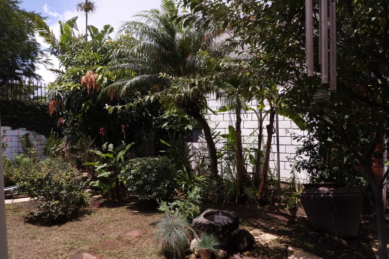 Casa Independiente de 4 Habitaciones en Los Laureles: House For Sale in Los Laureles - photo 12