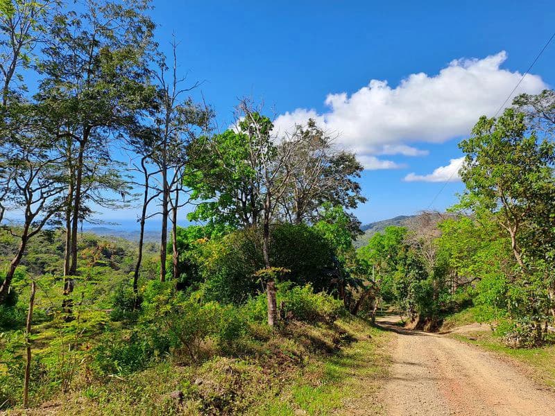 Lotes Mirador: Lotes Mirador, Breathtaking Lots with Stunning Ocean and Mountain Views, Large Building Pads, just 30 minutes from Samara Beach - photo 9