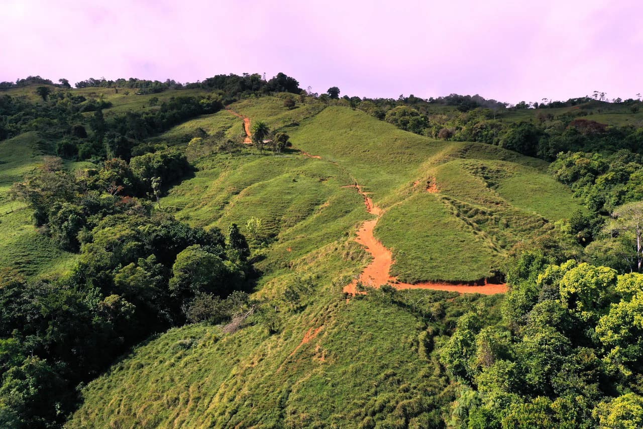 150 Acre Cattle Ranch with Panoramic Views Above the mountains of Uvita - photo 14