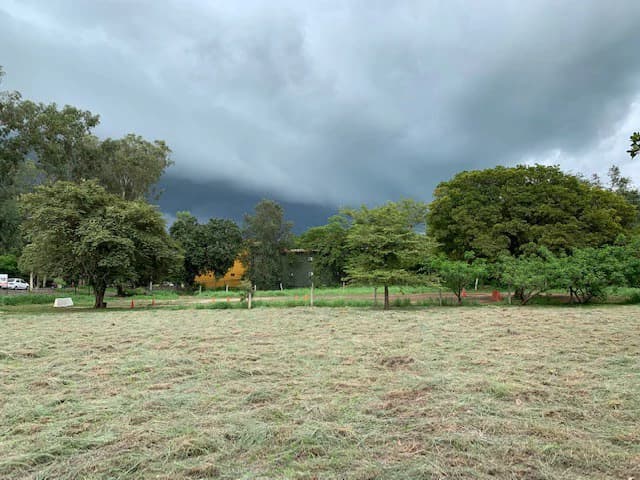 Sale commercial lot in front of the transito Liberia Guanacaste - photo 11