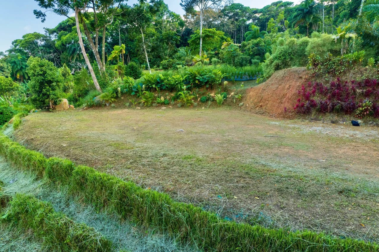 5.3 ACRES – Mountain And River View Land 20min To Dominical, Ready To Build, Legal Water, Electricity & Fiber Optics, Streams And Community Trails!!!! - photo 4