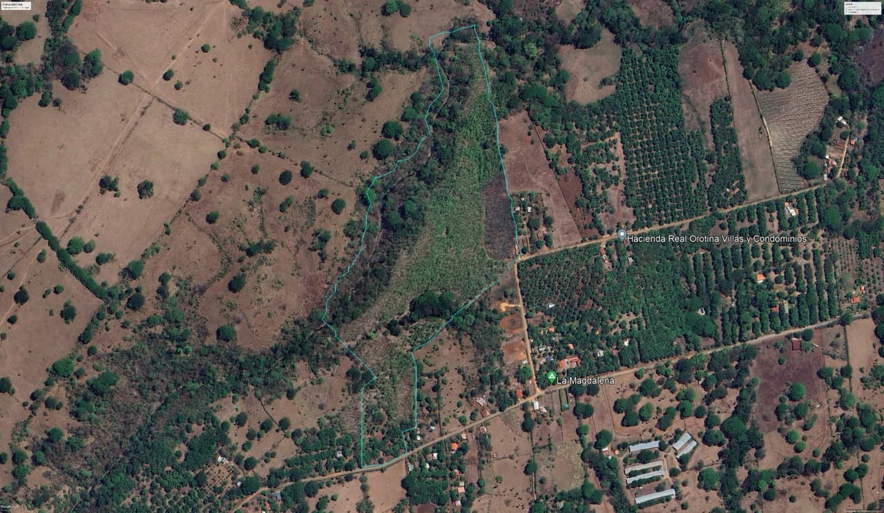 INVEST IN A TEAK PLANTATION FOR 25 YEARS
