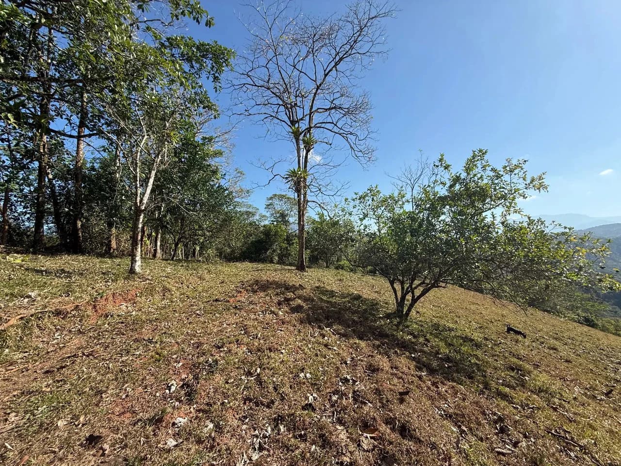 11.4 Hectare Mountain Estate: Lush Forest, River & Farm Potential in Arenal Puriscal , San Jose - photo 2