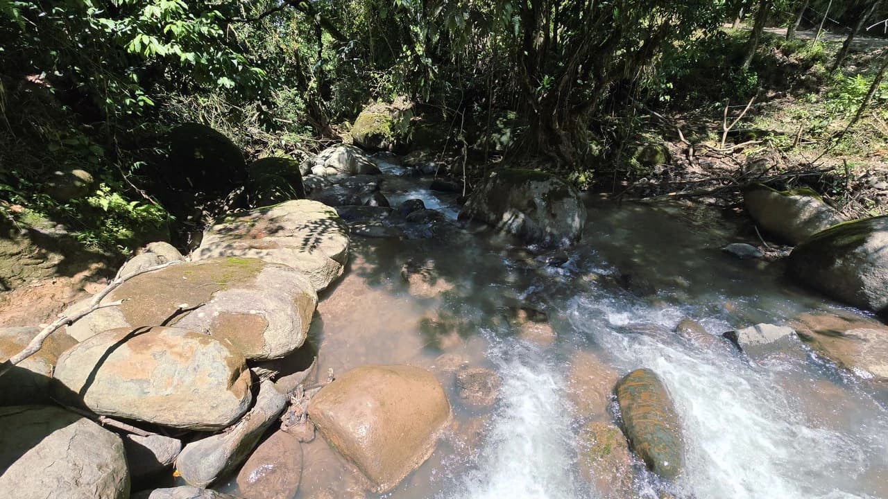FINCA EN MIRAFLORES: Mountain Agricultural Land For Sale in El General - photo 9