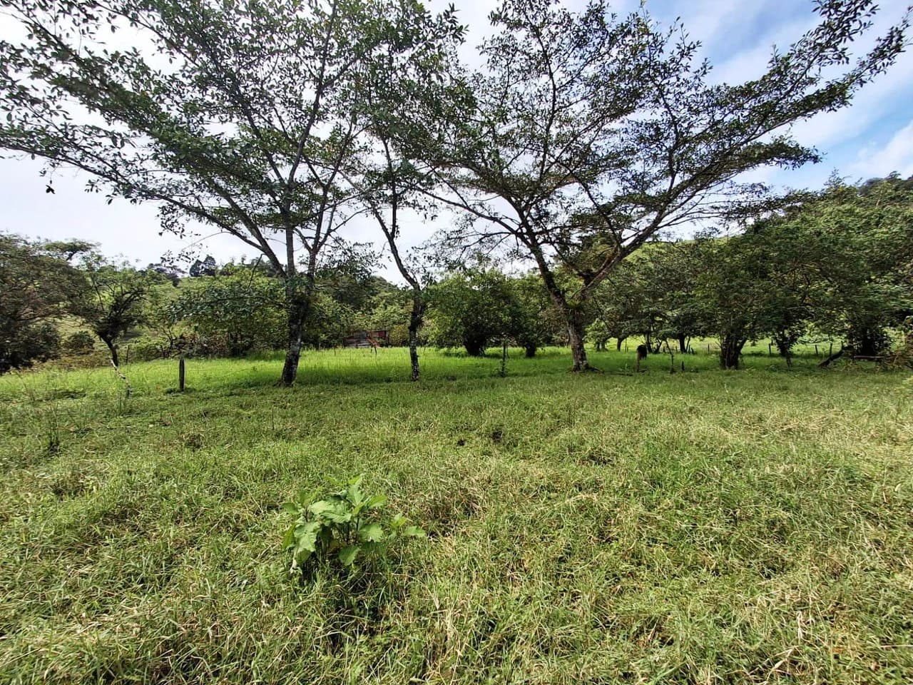 INVESTOR & DEVELOPER ALERT: High-Visibility Investment Property in the Heart of Tourist-Friendly Zarcero - photo 4