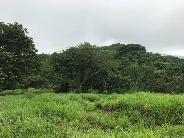 Ocean View Farm - photo 7