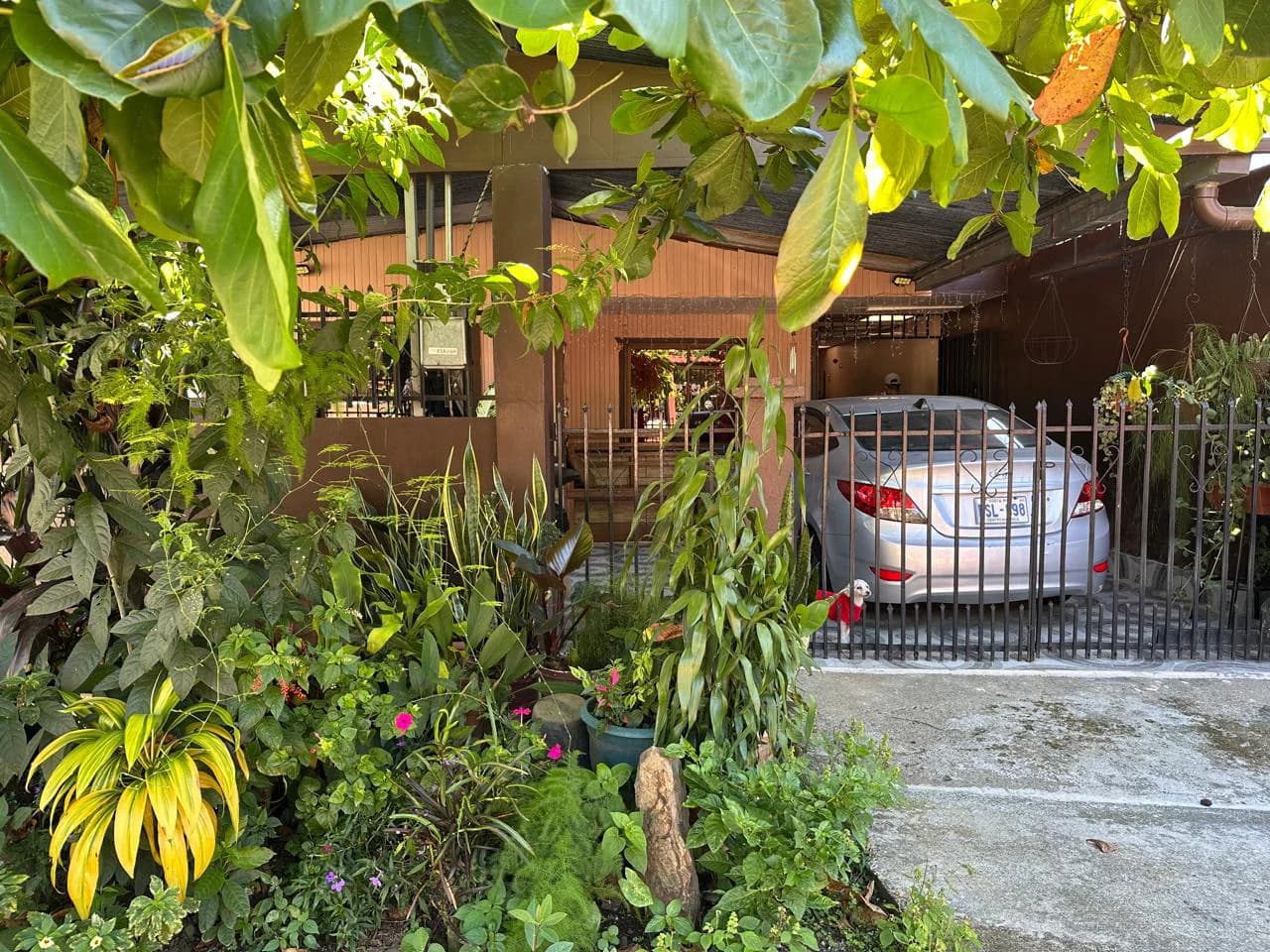 House For Sale in Villa Ligia - photo 2