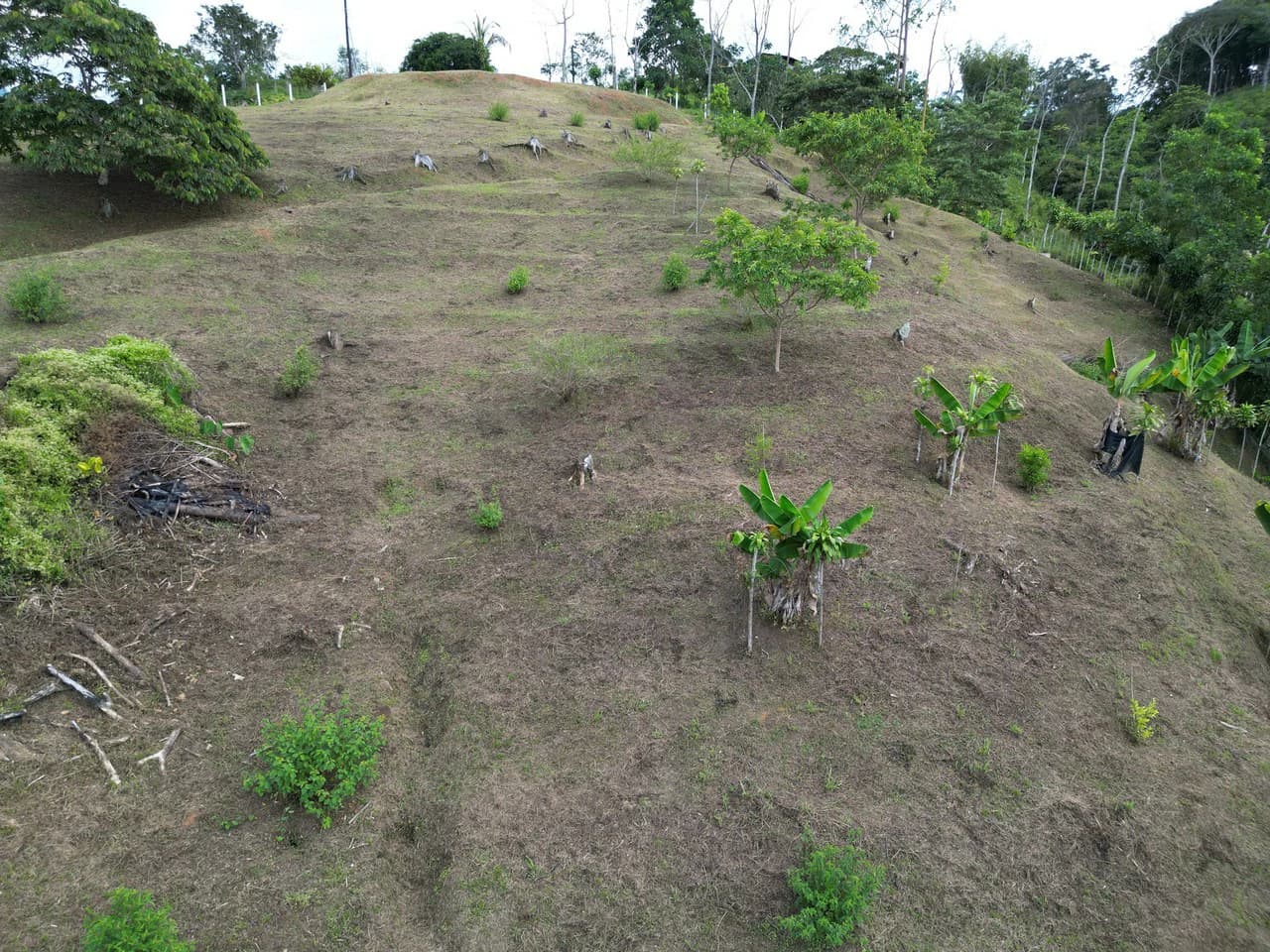 1.35 ACRES – Gorgeous View To The Valley, Mountain And City With A Large Building Site, Two Legal Water Sourses Ready To Build!!!: Mountain and Countryside Home Construction Site For Sale in San Isidr - photo 23