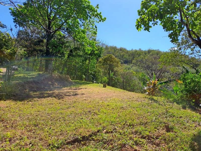 Lotes Mirador: Lotes Mirador, Breathtaking Lots with Stunning Ocean and Mountain Views, Large Building Pads, just 30 minutes from Samara Beach - photo 3
