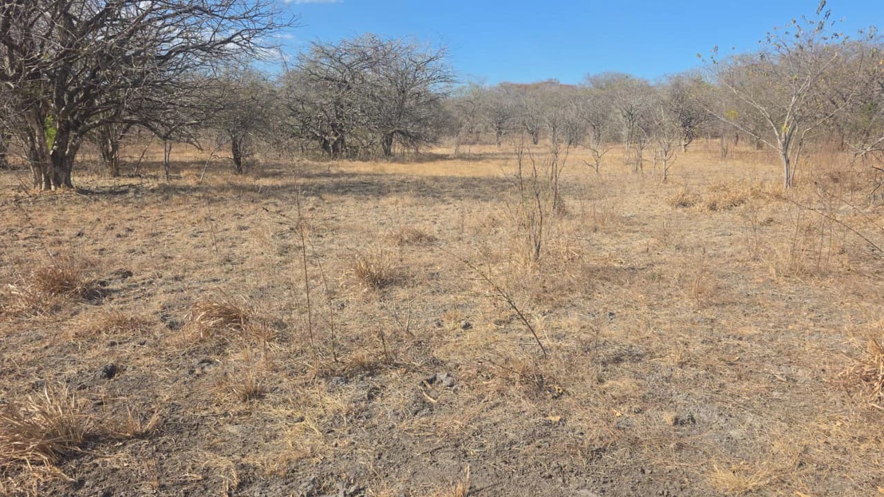 Huge Commercial Property Near Liberia Airport, Guanacaste, Costa Rica - photo 6