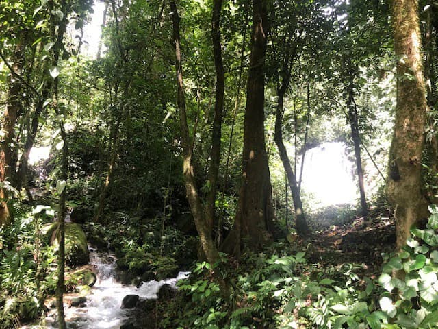 Hot and Cold Thermal Springs for Sale – Beautiful Property in Dos Ríos, Alajuela with Excellent Commercial Potential - photo 59
