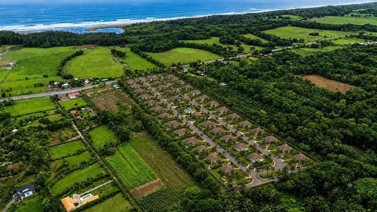 Near the Coast Agricultural Land For Sale in Matapalo - photo 2