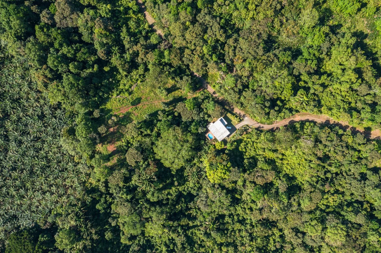 Casa Fox Las Palmas: Mountain House For Sale in Quepos - photo 33