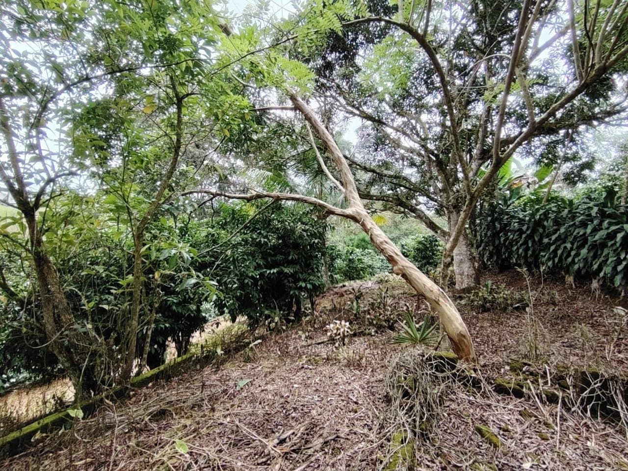 Home Construction Site For Sale in General Viejo - photo 9