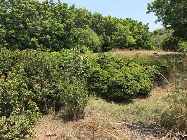 Great property in Santa Cruz: Excellent opportunity to develop in excellent location - photo 3