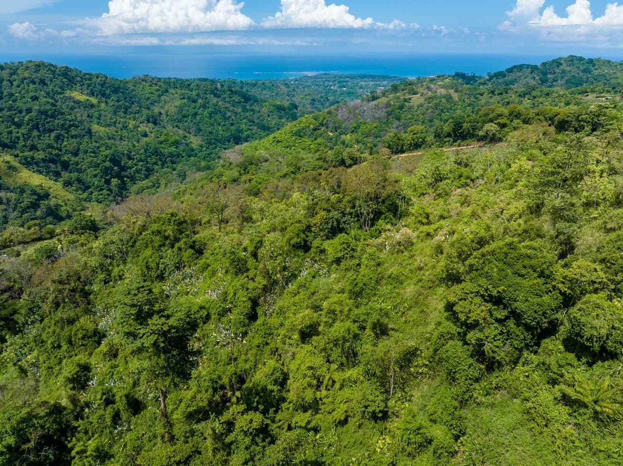 101 Acre Waterfall Riverfront and Ocean View Farm in Playa Uvita - photo 10