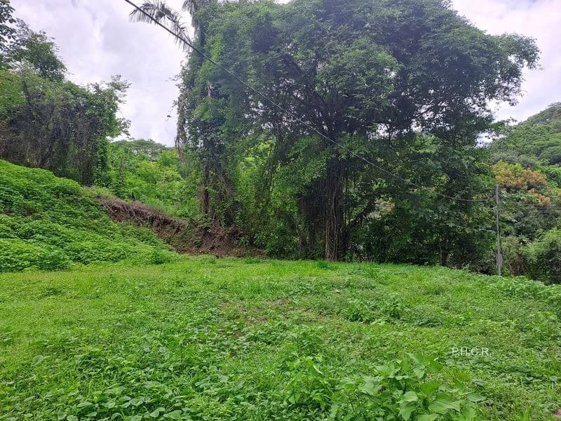 LOT SAN FERNANDO: San Fernando lot - 1024 m² building plot - affordable - flat - 10 minutes drive from Samara - photo 4