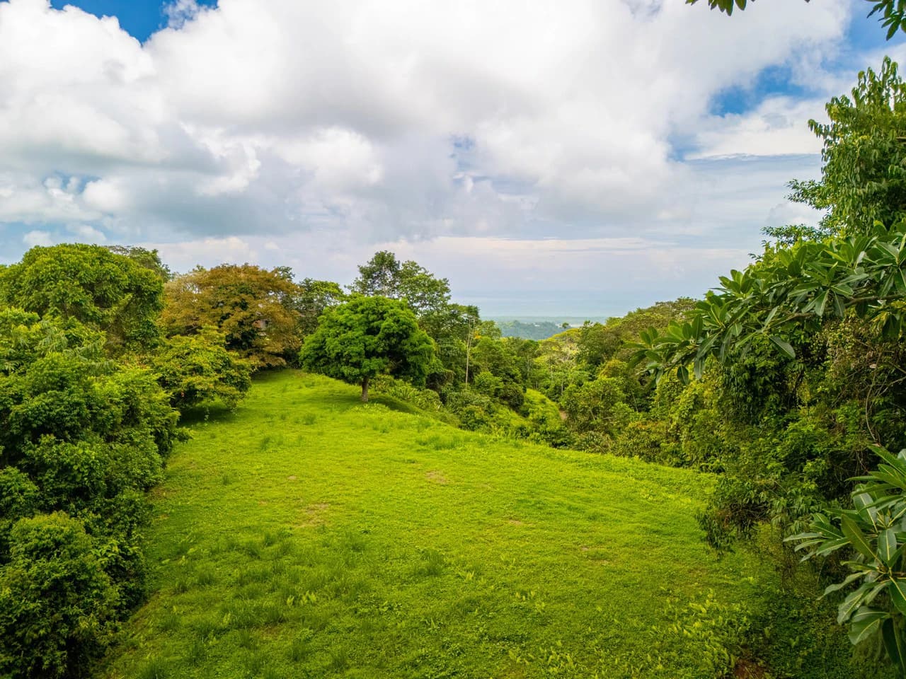Tropical Paradise in Cascada Sándalo, Tres Ríos Ocean & Mountain Views | Gated Community | Abundant Nature - photo 5