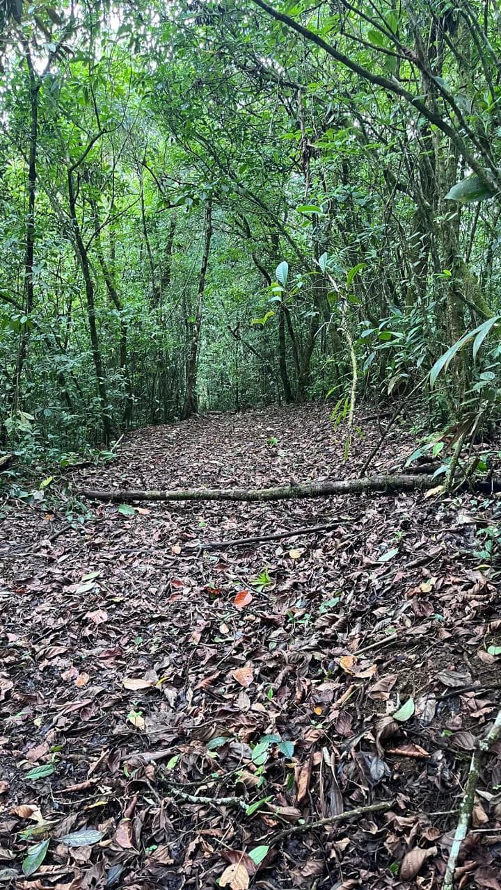Spectacular 72.44 acres: Costa Rica Nature Estate | Private Waterfall, River, Home & Spectacular Views | Near La Fortuna