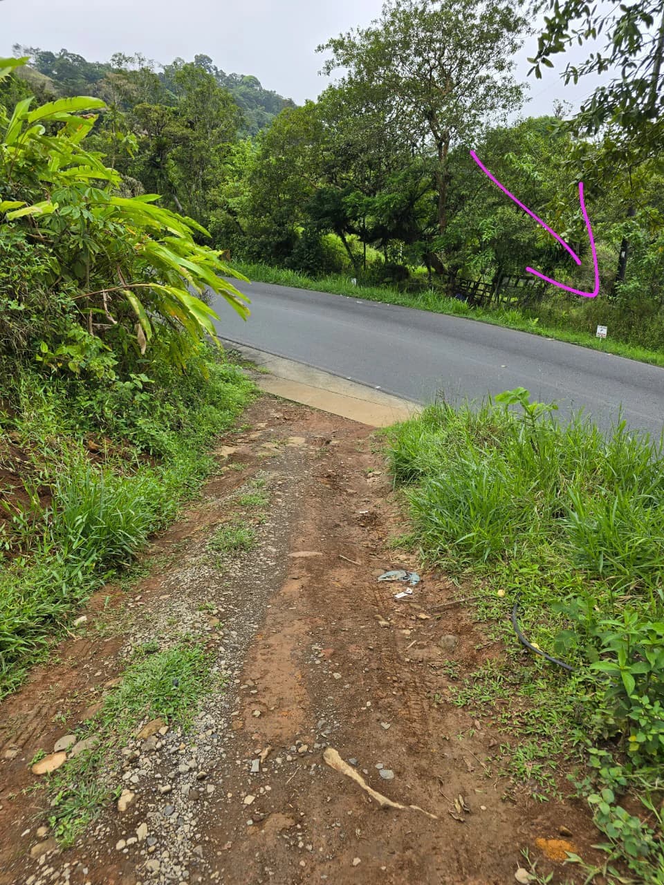 INVESTOR & DEVELOPER ALERT: High-Visibility Investment Property in the Heart of Tourist-Friendly Zarcero - photo 3