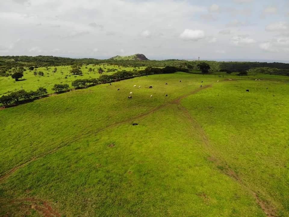 Finca Los Angeles: JUST REDUCED ! 281 Acre Farm with River, Lake, and Sunset views - photo 7