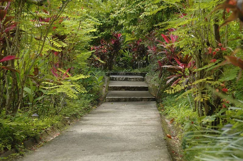 Gem 62.5 Acre Resort-Ready Estate: Oceanview Hospitality Gem 62.5 Acre Resort-Ready Estate with Operating Hotel - photo 9