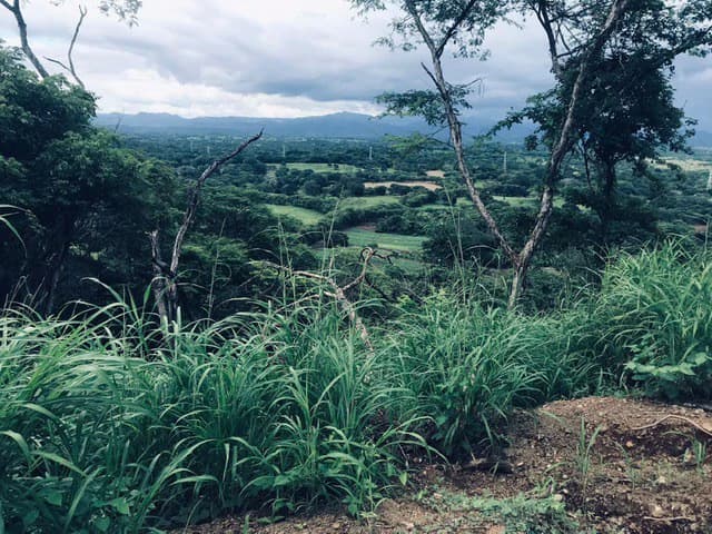 Amazing 50% discount for Huge ocean-view farm for sale surrounded by soft rolling hills and pristine nature - photo 38