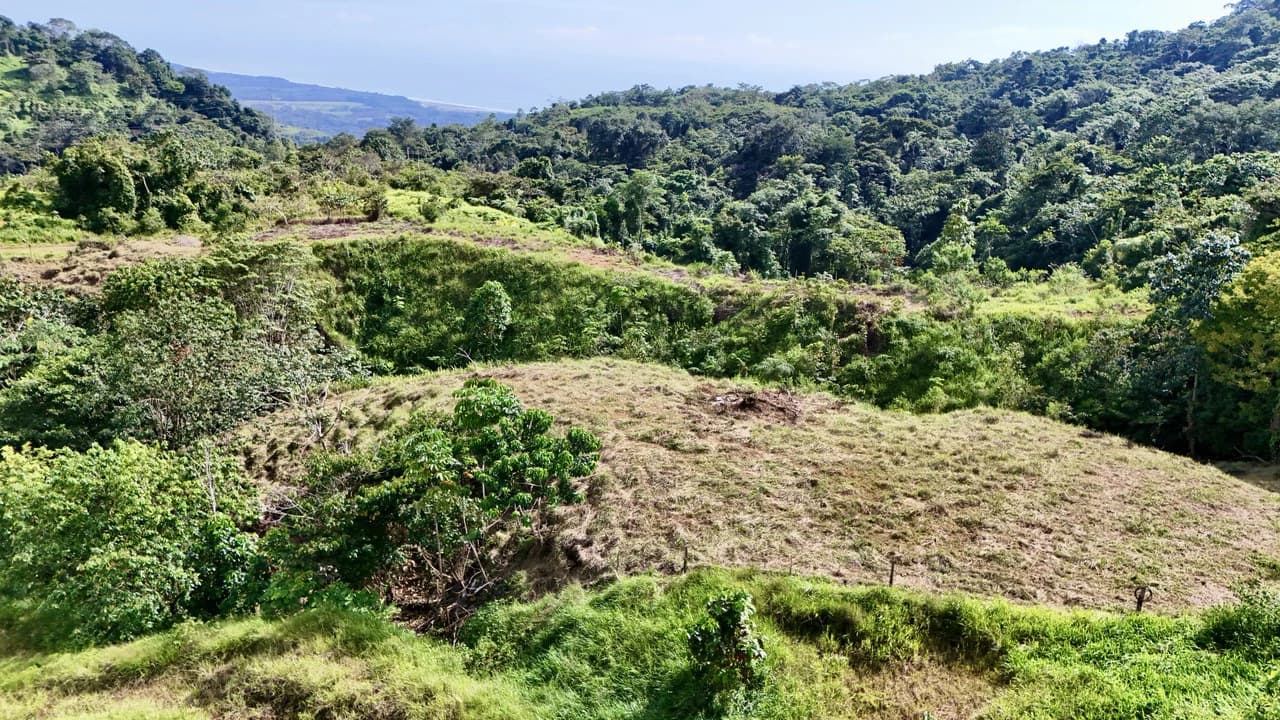 Off-Grid Ocean View Lot | 1.7 Acres in Las Nubes Matapalo Hills - photo 4