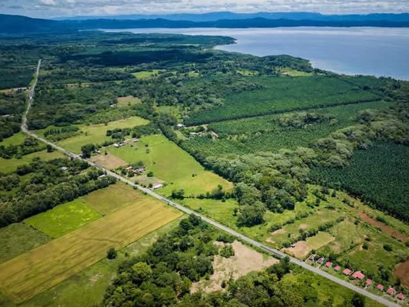 0.25 Acres Lots For Sale in La Amapola, Puerto Jimenez on Highway-245 - photo 2