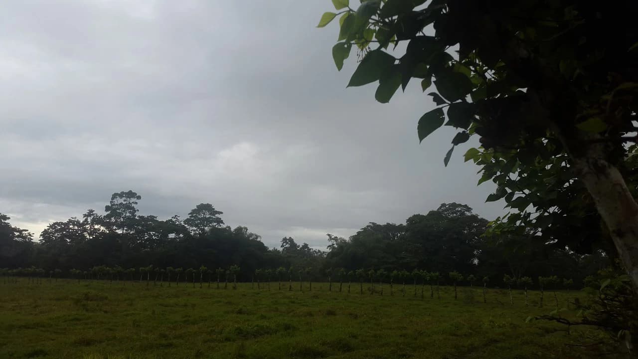 Countryside Development Parcel For Sale in Cariari - photo 22