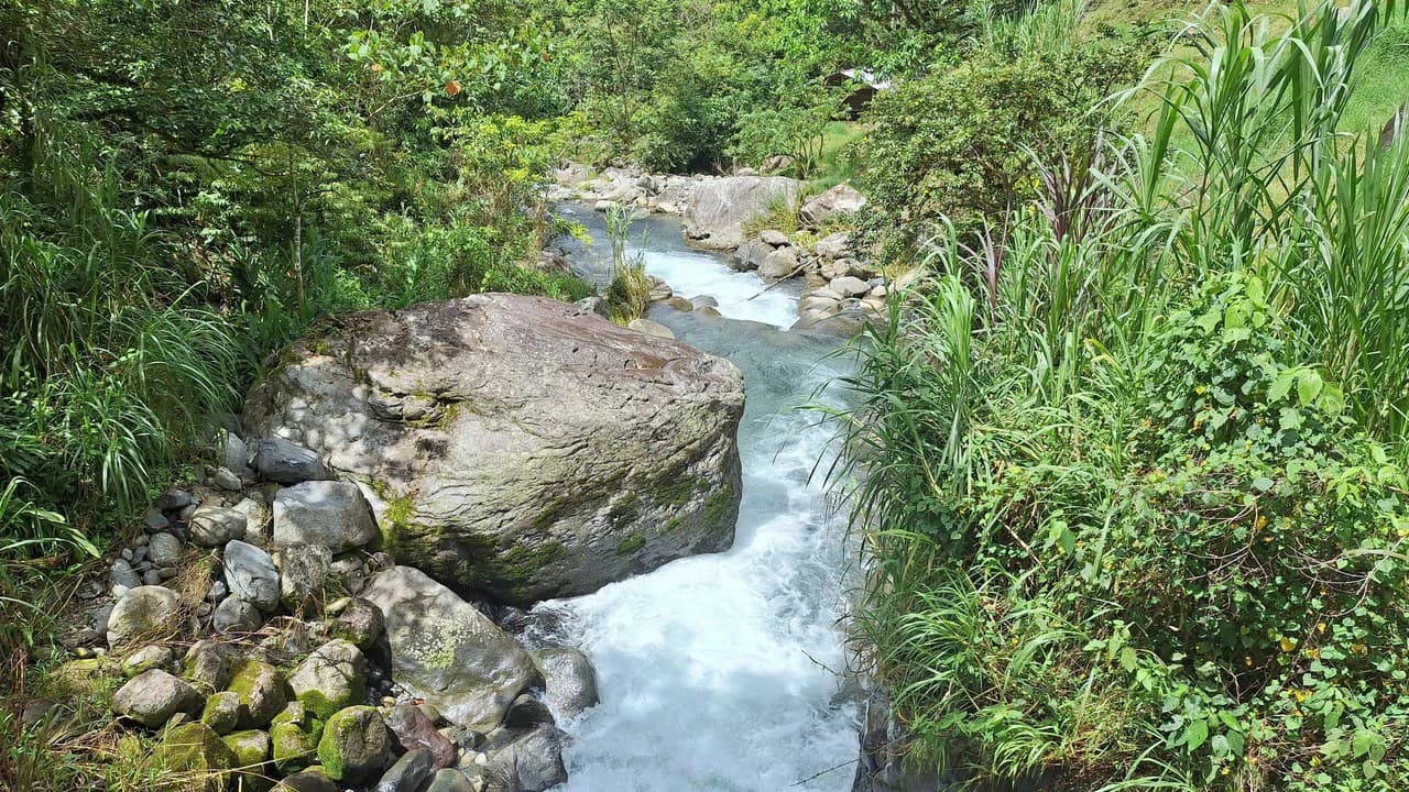 Propiedad en cedral: Mountain Home Construction Site For Sale in Cajón - photo 5