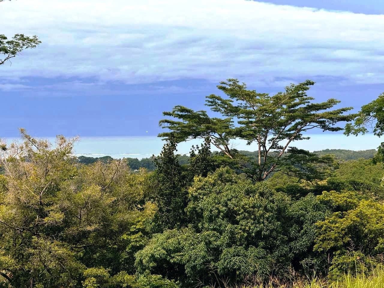Prime Ocean View Development Property in Downtown Uvita - photo 10