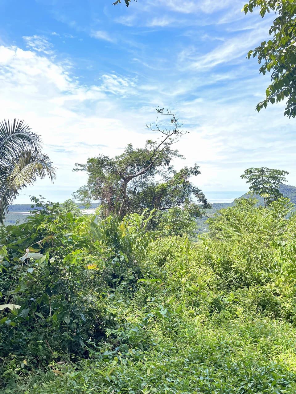 TROPICAL MASTERPIECE – 61.78 ACRES OF OCEANVIEW BLISS WITH WATERFALL: Mountain Development Parcel For Sale in Tres Rios - photo 26