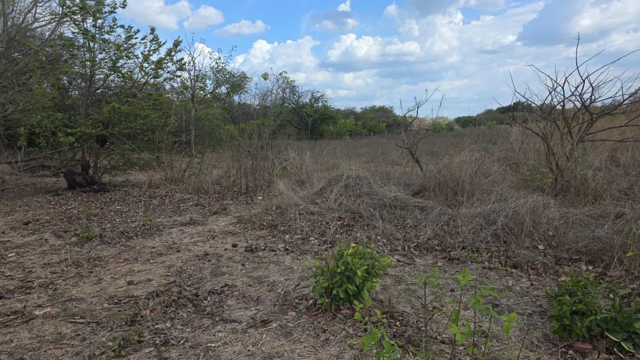 Property for Sale Near Liberia Airport with High Exposure and 60 Meters Frontage on Route 21, with Public Utilities - photo 2