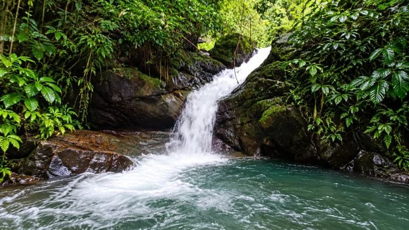 116-Hectare Finca for Sale Near Uvita with Whales Tail Views and 10 Waterfalls | La Faralla, Bahia Ballena, Uvita, Puntarenas, Costa Rica - photo 84