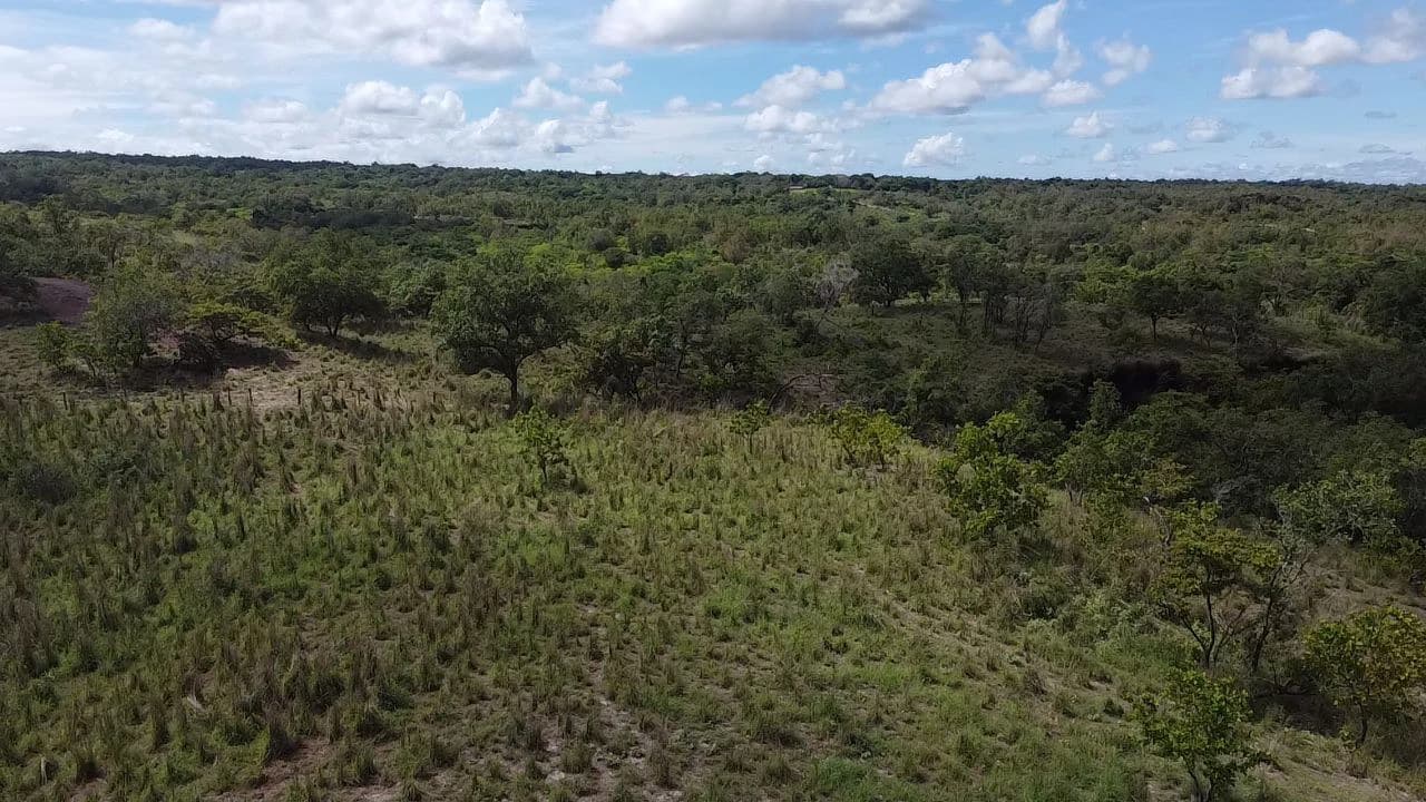 Riverfront, Mountain and Countryside Agricultural Land For Sale in Cañas Dulces - photo 3