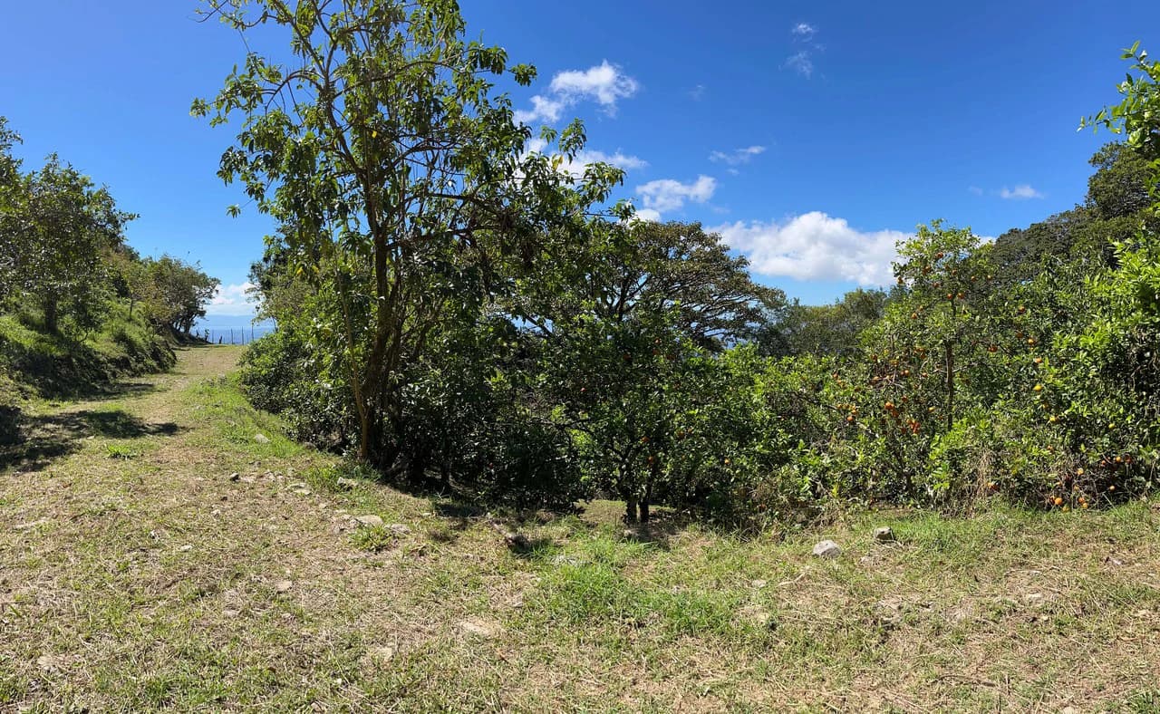 A Lifestyle Canvas with Gulf Views: 5 Hectares Near Monteverde CE0224: Build Your Dream Lifestyle: 5 Hectares with a million dollar Ocean Views & Sunset Magic Near Monteverde - photo 7
