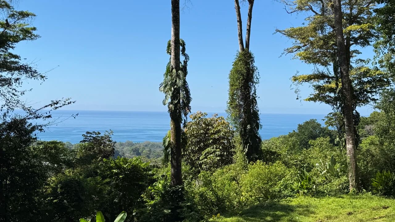 Two Ocean View Lots in Uvita – Easy Access and Large Building Sites - photo 8