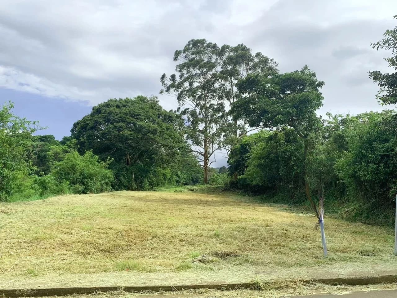 Palmares P440: Terreno Multiuso en Palmares: ¡Ideal para Invertir!