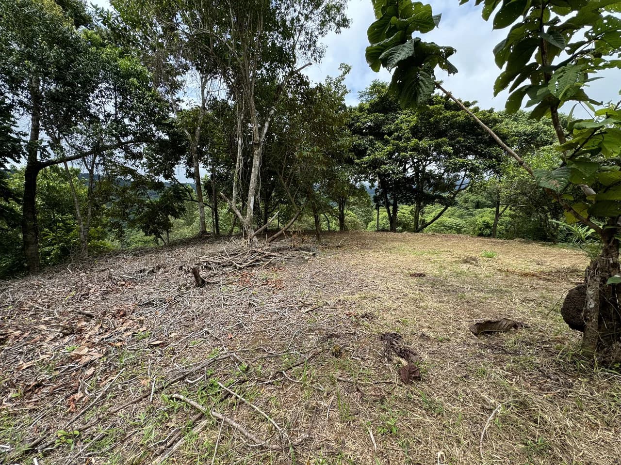 Diamante Waterfall View Land in Dominical 2.9 Acres - photo 11