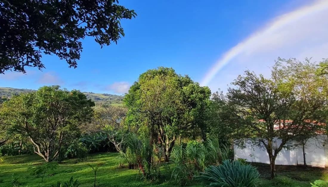 VILLA VIDA TRANQUILA - Modern Bright Home just above Lake Shore - photo 23
