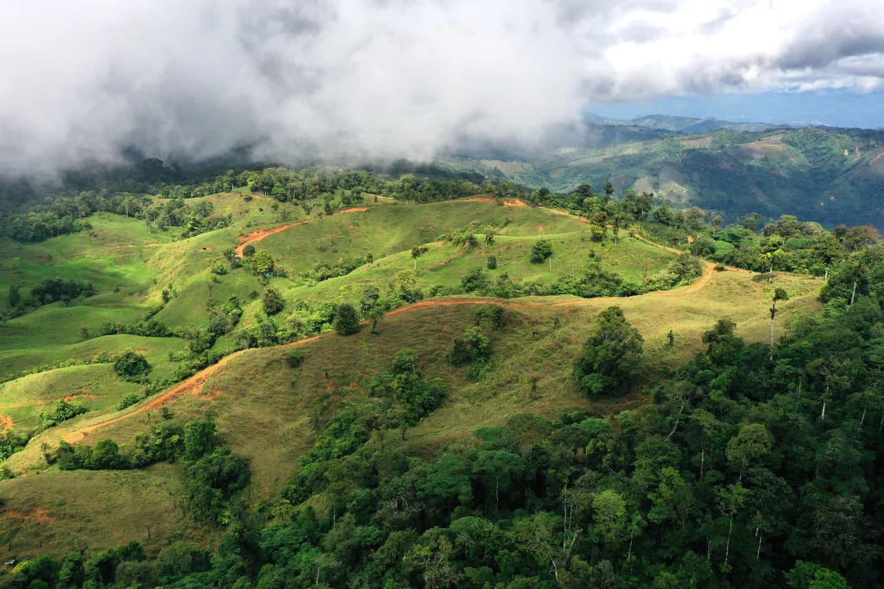 150 Acre Cattle Ranch with Panoramic Views Above the mountains of Uvita - photo 5