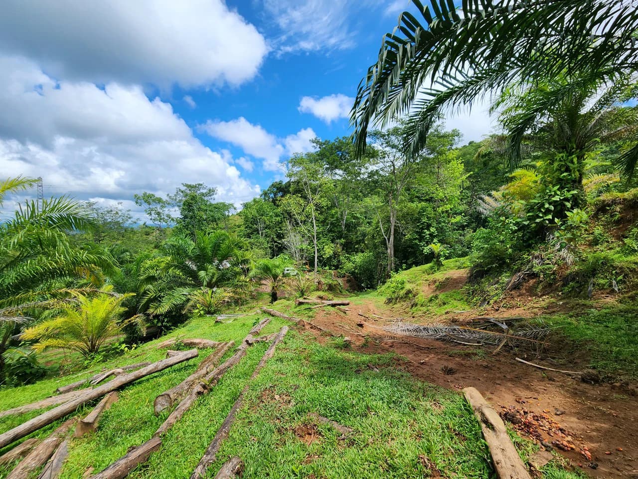 PRIME PARRITA FARM FOR SALE - photo 4